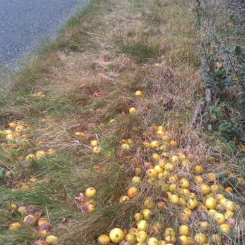 Media_httpaudioboofmb_mfhpf